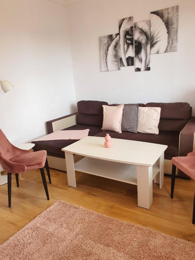 Dom Goscinny Marta - Pokoje, Apartamenty, Domki Криница Морска Екстериор снимка